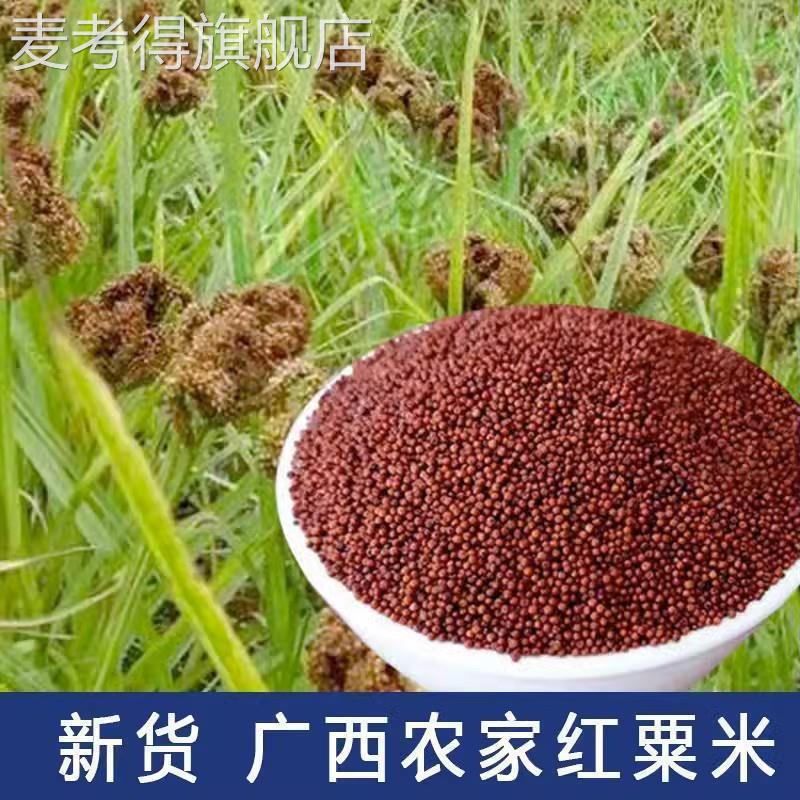 广西矮脚粟米粉岑溪粟子粉红稗面农家产品鸭脚粟龙爪粟糁子粉杂粮