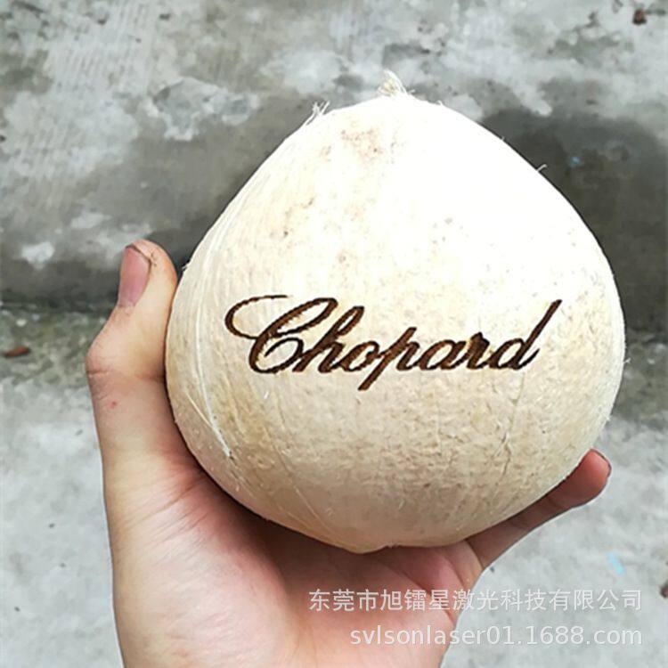 diy桌面微型玻璃数控激光刻字打标机 橡皮章激光雕刻机 金属刻划