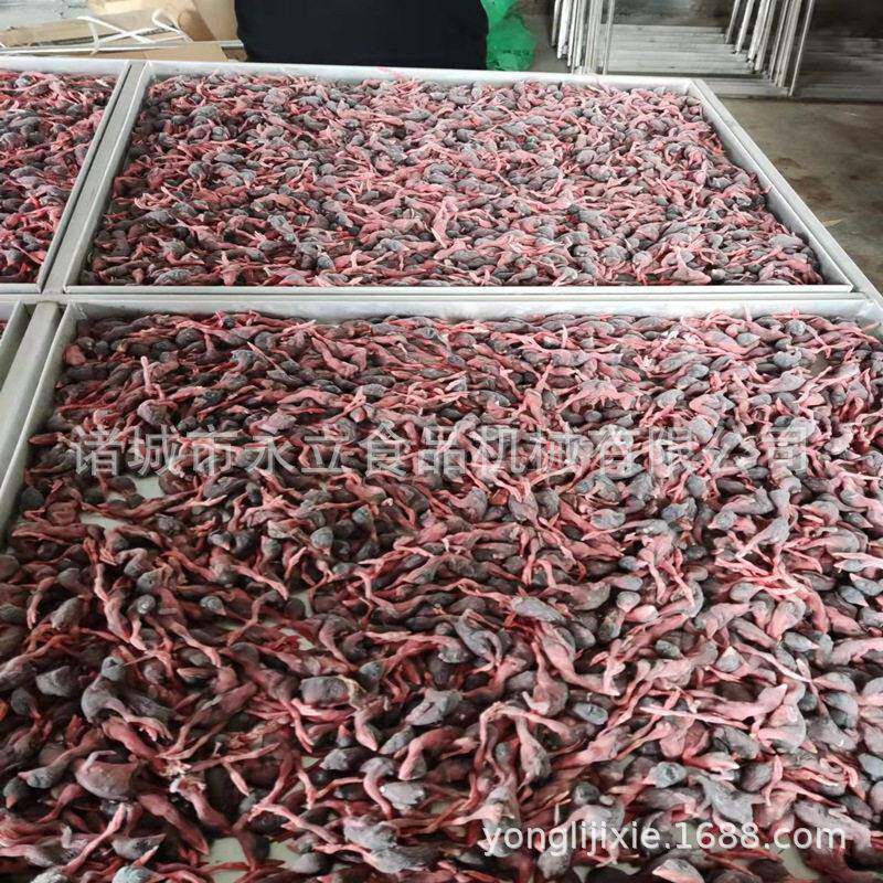 宠物零食真空冻干机全自动鸡胸肉低温冷冻干燥设备鹌鹑玫瑰花冻干
