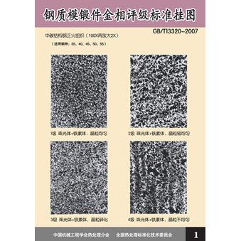 金相挂图图谱钢质模锻件金相评级标准挂图（GB/T13320-2007)