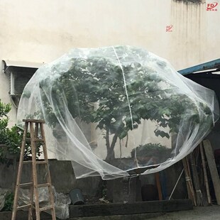 果园农用种菜保护大棚杨梅果树防虫网家用蔬菜树网网罩通用防护网