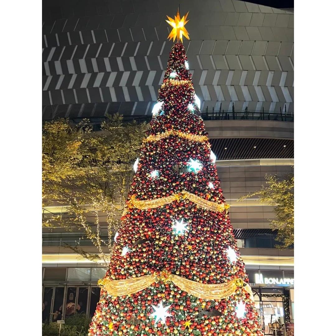 圣诞节大型框架圣诞树3/4/5/6/10米定制酒店商场户外场景发光装饰