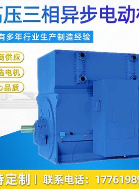 高压三相异步电动机 YRKS4502-4 315KW 厂家直销 高压电机