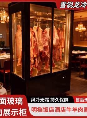 立式挂肉柜牛羊肉排酸柜四面玻璃冷藏冷冻猪肉保鲜腊肠腊肉展示柜
