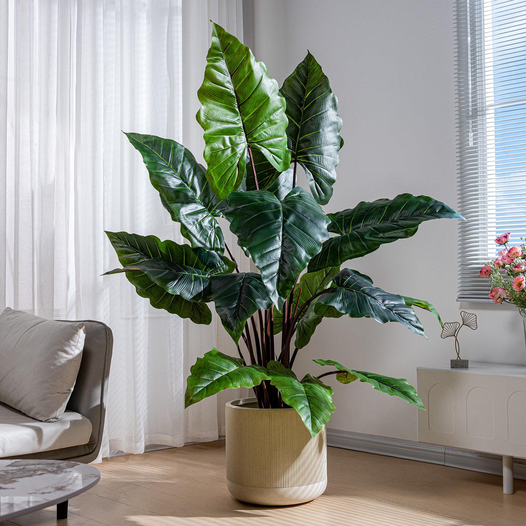 彷真绿色植物室内盆栽海芋滴水观音彷生植物假树客厅落地沙发角落