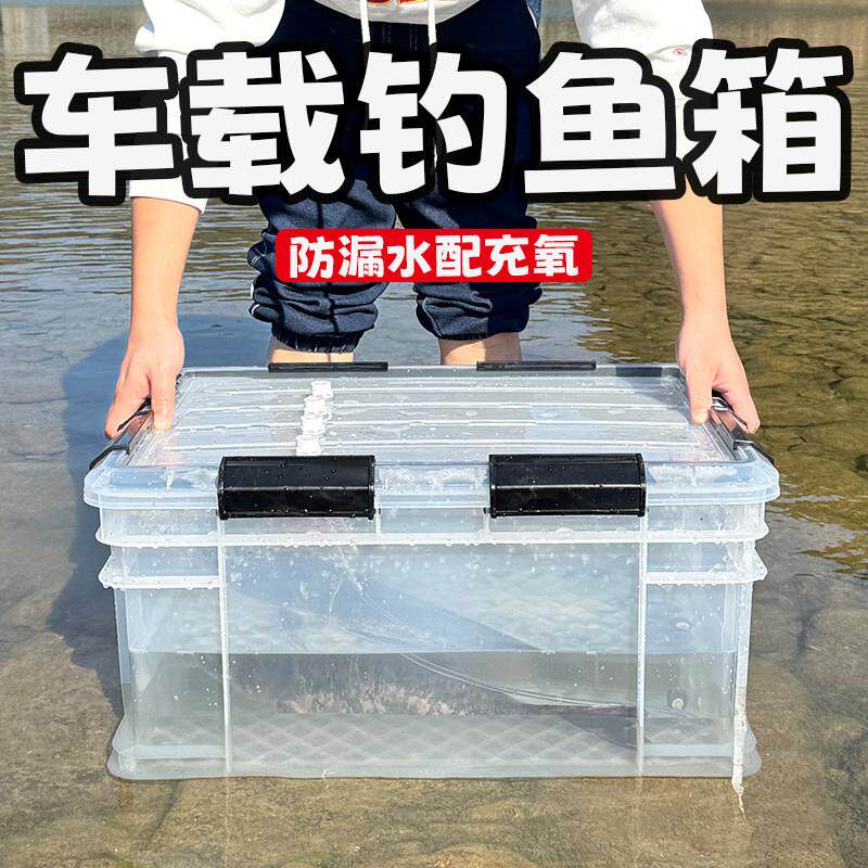 车载活鱼箱钓鱼桶大号后备箱野钓装鱼运输箱密封防漏加厚收纳水桶