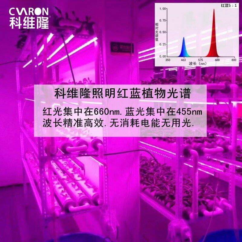 红蓝led植物生长灯全光谱多肉补光上色育苗蔬菜防徒家用组培实验