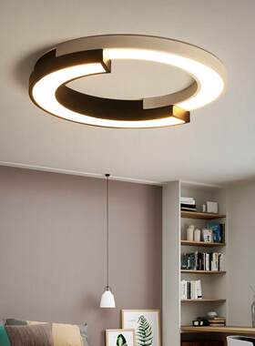 超值优惠简约吸顶灯创意圆形LED灯客厅卧室灯饭厅灯异形黑白百搭