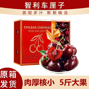 【现货直发】5斤4J智利进口车厘子桑提娜原箱礼盒装大果新鲜水果