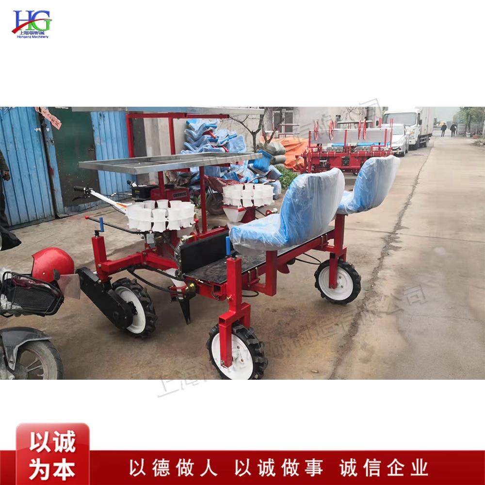 自走式秧苗种植机 辣椒苗栽种设备 蔬菜大棚种植秧苗移栽机,农机/农具/农膜,播种栽苗器/地膜机,淘宝优惠券,粉丝福利购,淘宝优惠卷