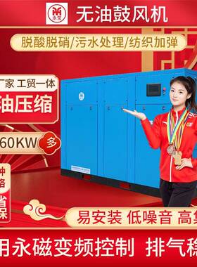 污水处理永磁变频无油螺杆鼓风机空压机45/55/75kw9.6立方纺织