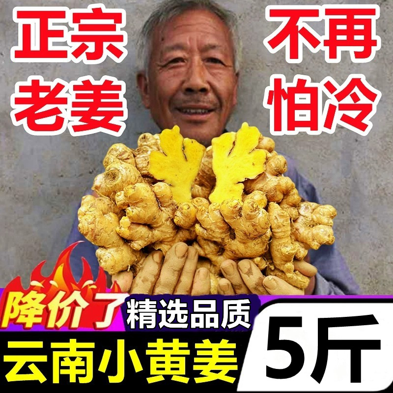 2025年当季小黄姜正宗云南产地