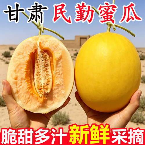 【正宗甘肃民勤蜜瓜】已上热销榜