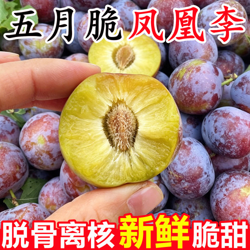 正宗四川五月脆凤凰李子新鲜水果5斤应当季孕妇半边红茵红李整箱