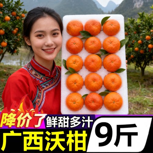 【正宗广西沃柑】已上热销榜！