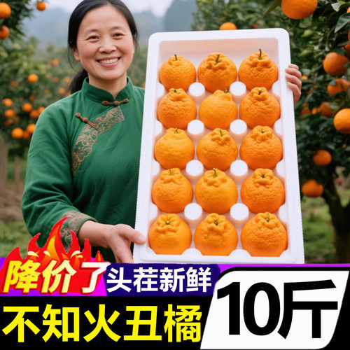 【四川不知火丑橘】已上热销榜！
