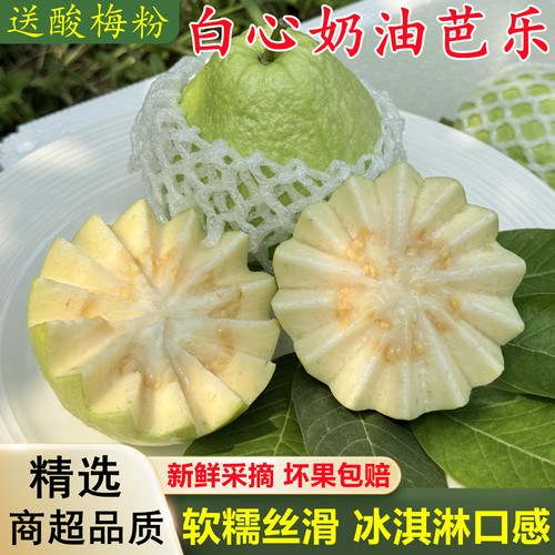 【广西白心奶油芭乐】已上热销榜