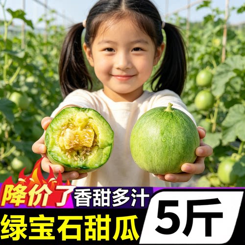 【山东绿宝石甜瓜】已上热销榜！