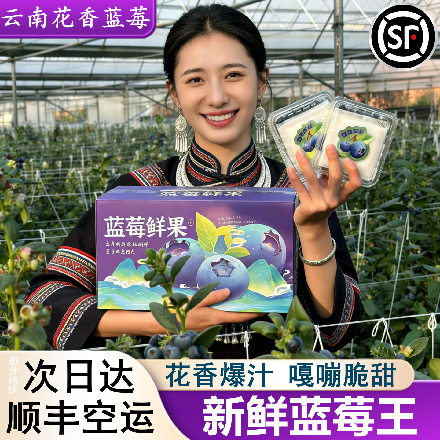 云南花香蓝莓新鲜水果特大果怡颗当季现货l25孕妇水果顺丰次日达