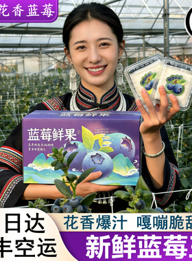 云南花香蓝莓新鲜水果特大果怡颗当季现货l25孕妇水果顺丰次日达