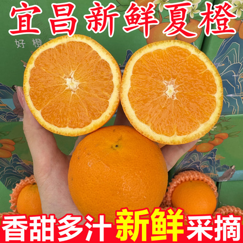 【正宗湖北宜昌夏橙】已上热销榜