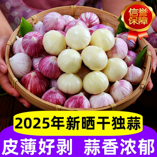 云南紫皮独头蒜5斤新鲜农家大蒜头干蒜独蒜鲜蒜特大果批发农家蒜