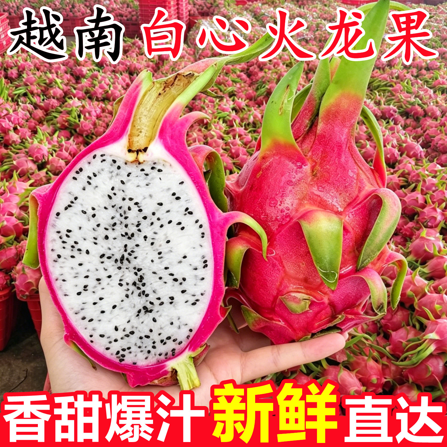 正宗越南进口白心火龙果新鲜10斤蜜宝白肉应当季时令孕妇水果整箱