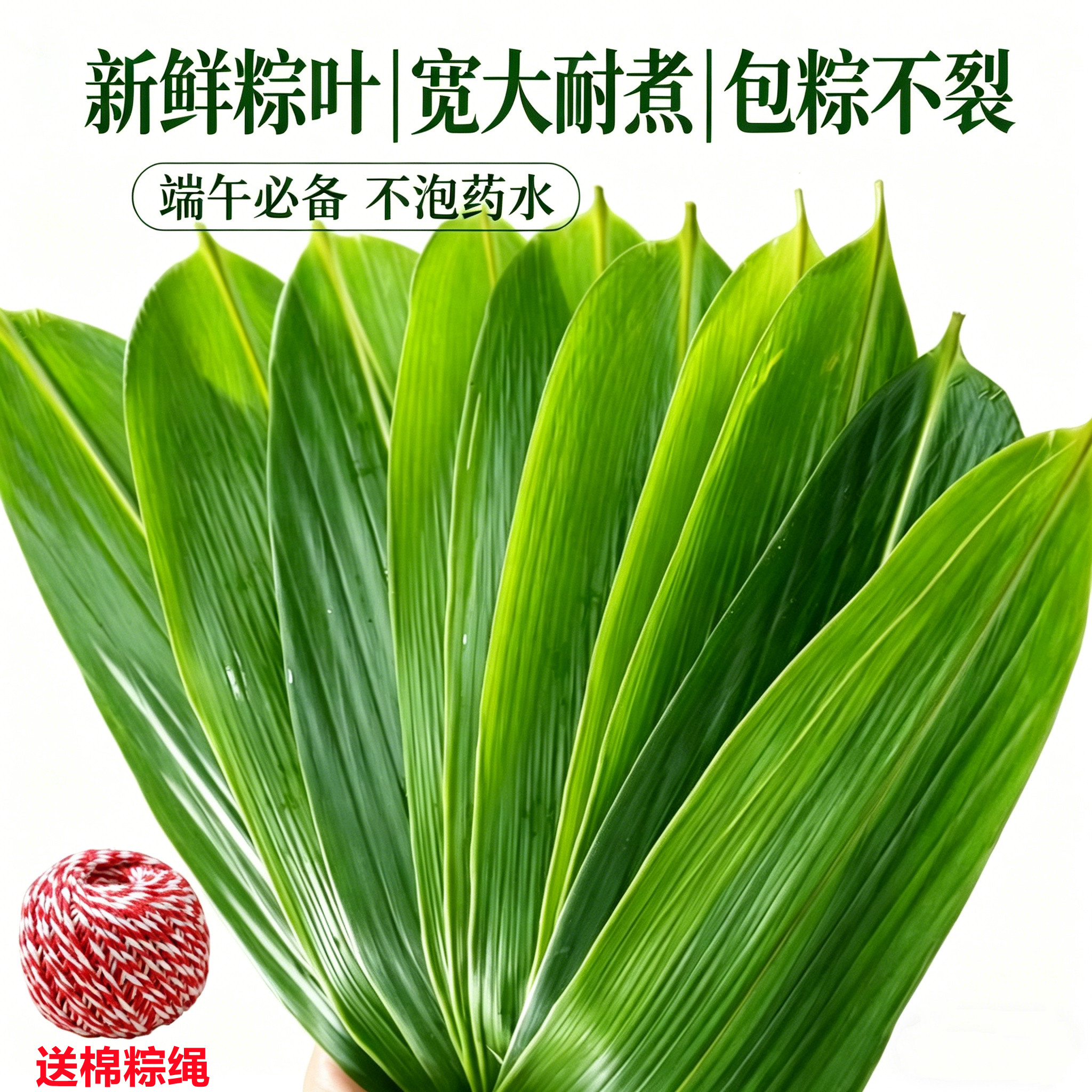 粽叶新鲜粽子叶大号正宗箬粽叶包粽子专用送粽绳干特大号商用批发