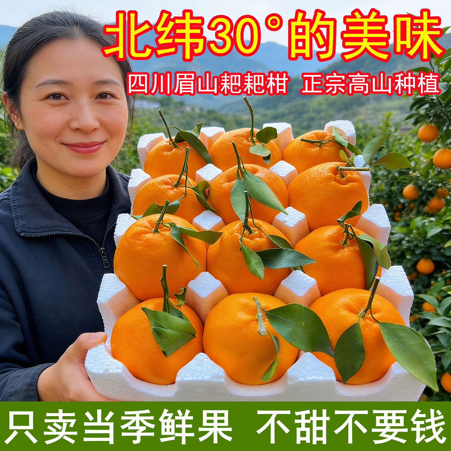 正宗四川春见耙耙柑粑粑柑10斤装当季新鲜水果橘子现采摘发货整箱,水产肉类/新鲜蔬果/熟食,桔子,淘宝优惠券,粉丝福利购,淘宝优惠卷