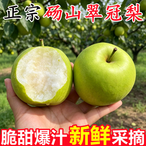 【正宗砀山梨翠冠梨】已上热销榜