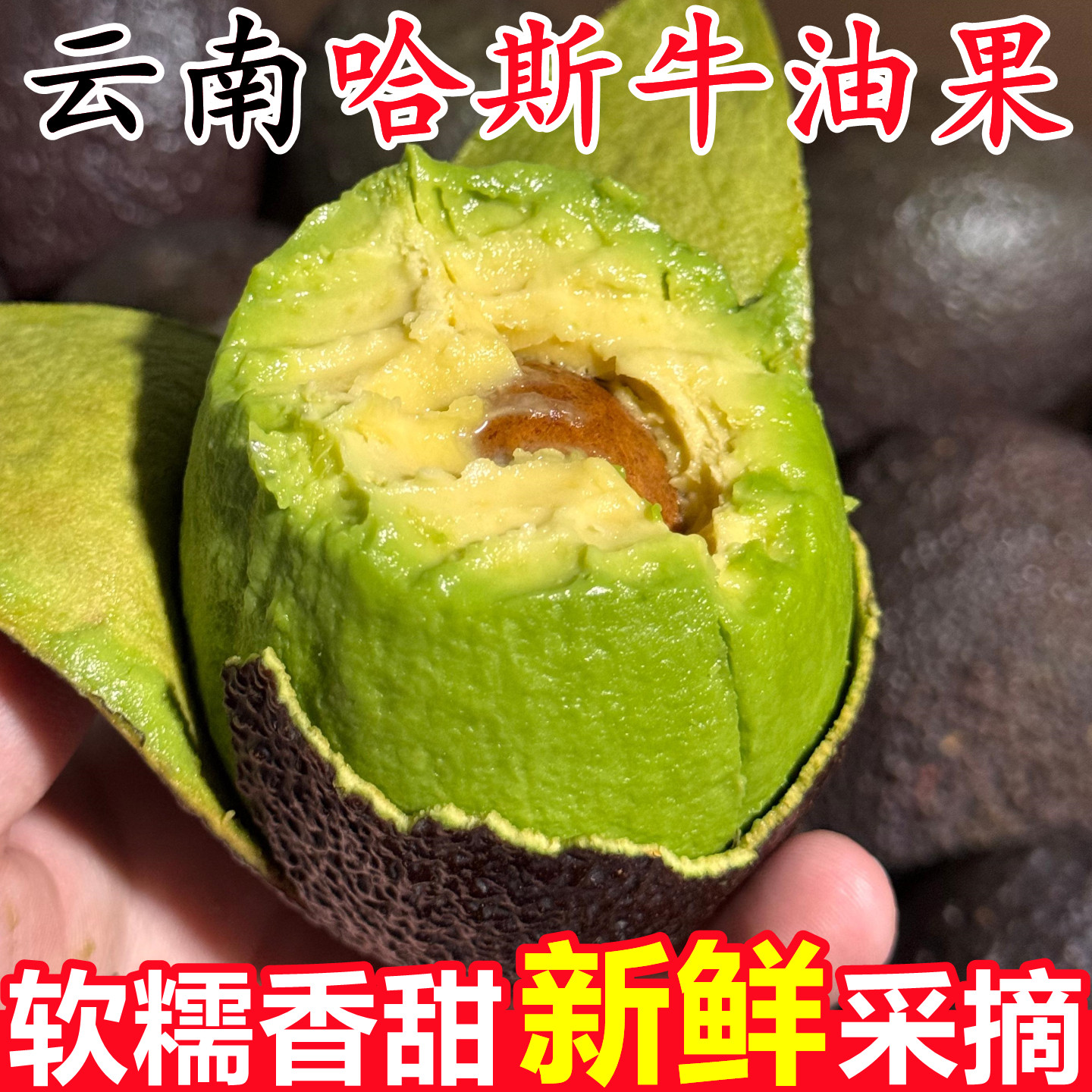 【云南哈斯牛油果】已上热销榜!