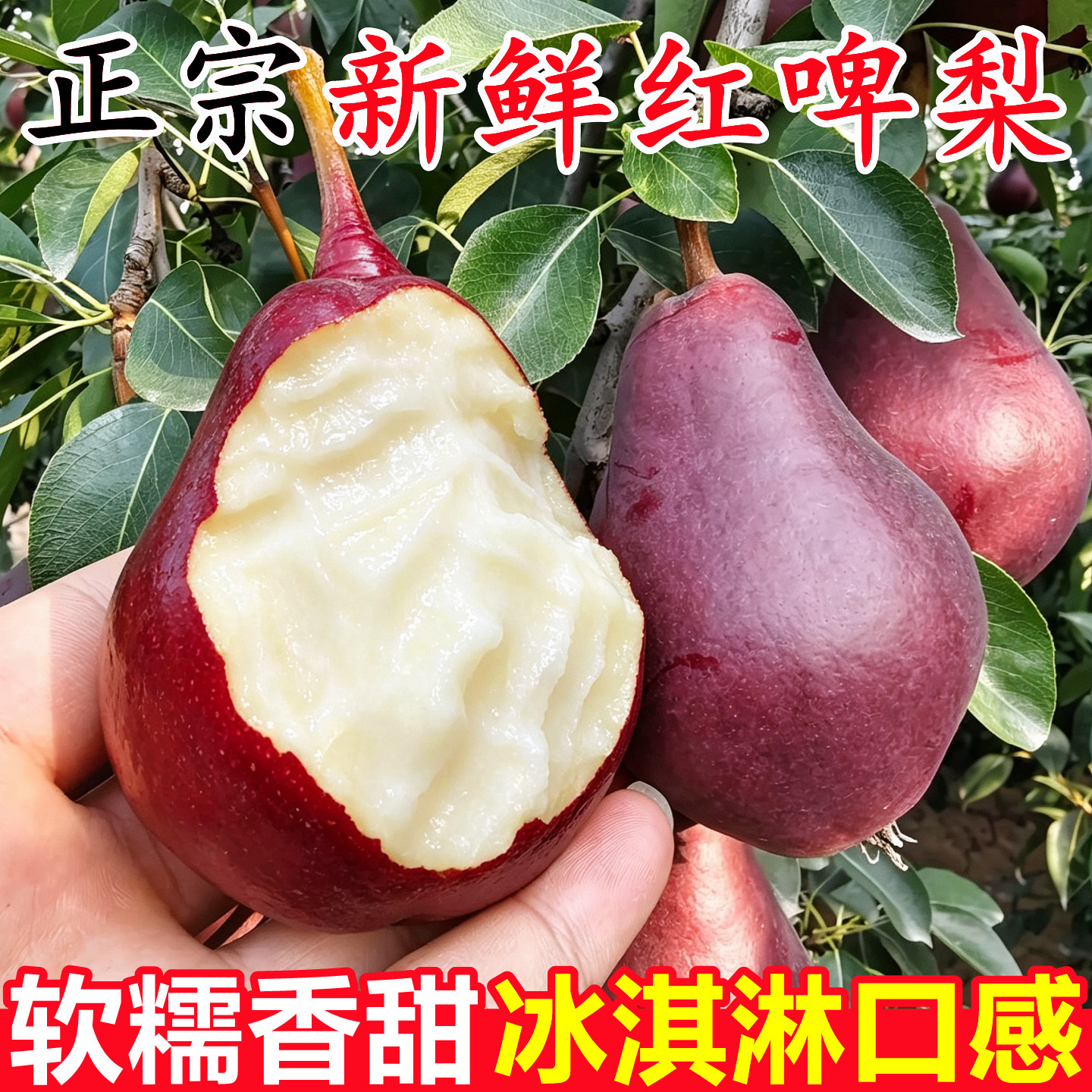 【正宗新鲜红啤梨】已上热销榜!