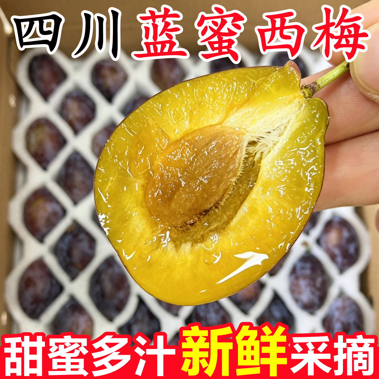 【四川新鲜蓝蜜西梅】已上热销榜