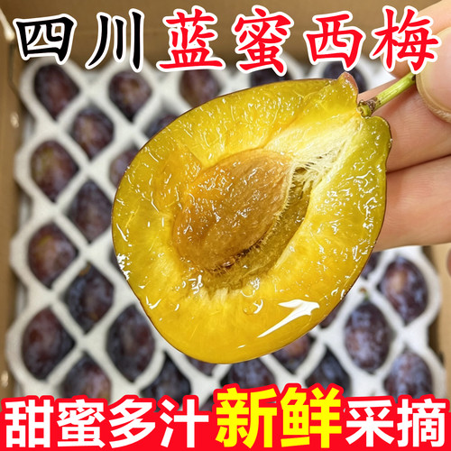 【四川新鲜蓝蜜西梅】已上热销榜