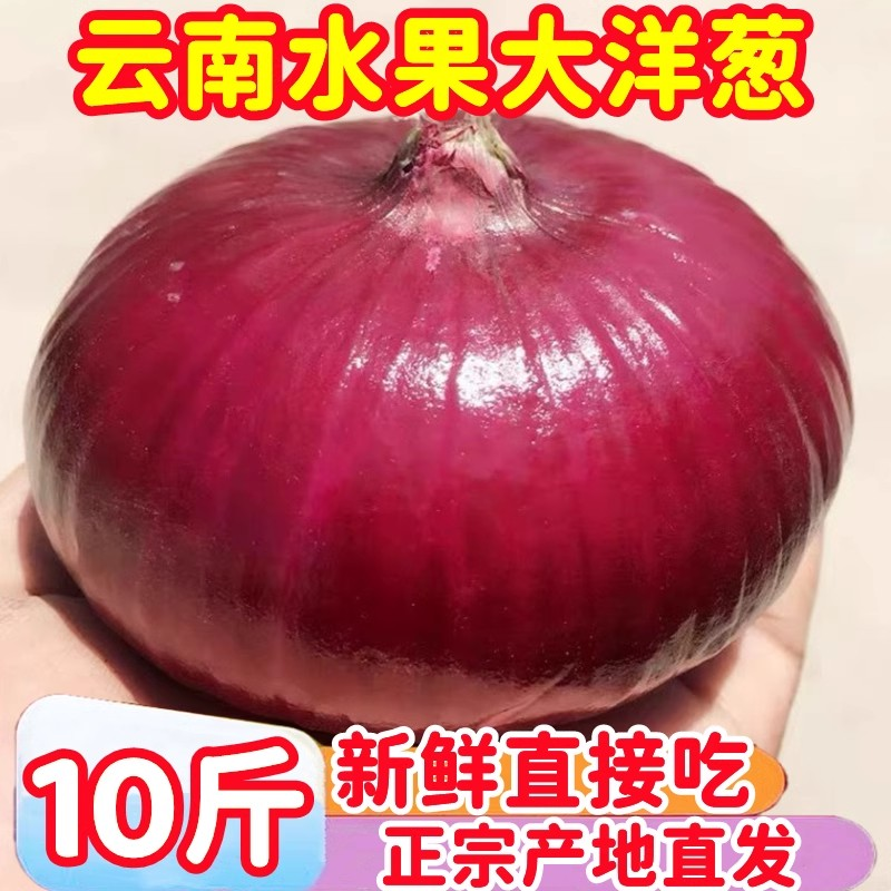 【正宗云南大洋葱】农家自种批发