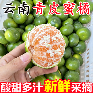 正宗云南青皮蜜桔橘新鲜5斤应当季时令绿柑青皮橘子孕妇水果整箱