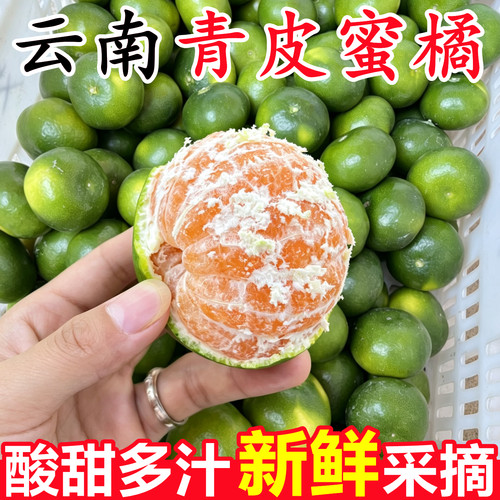 【云南青皮蜜桔】已上热销榜！