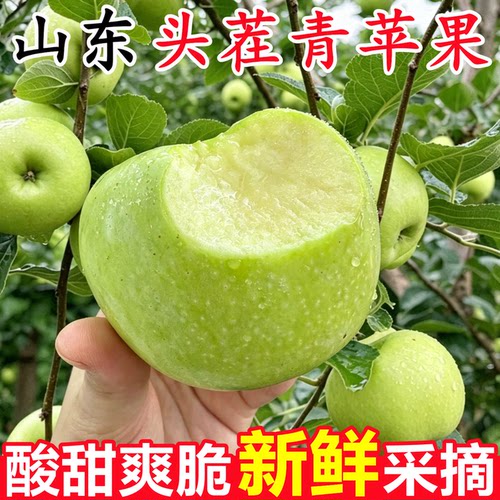 【山东头茬青苹果】已上热销榜！