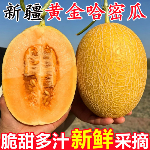 【新疆黄金哈密瓜】已上热销榜！
