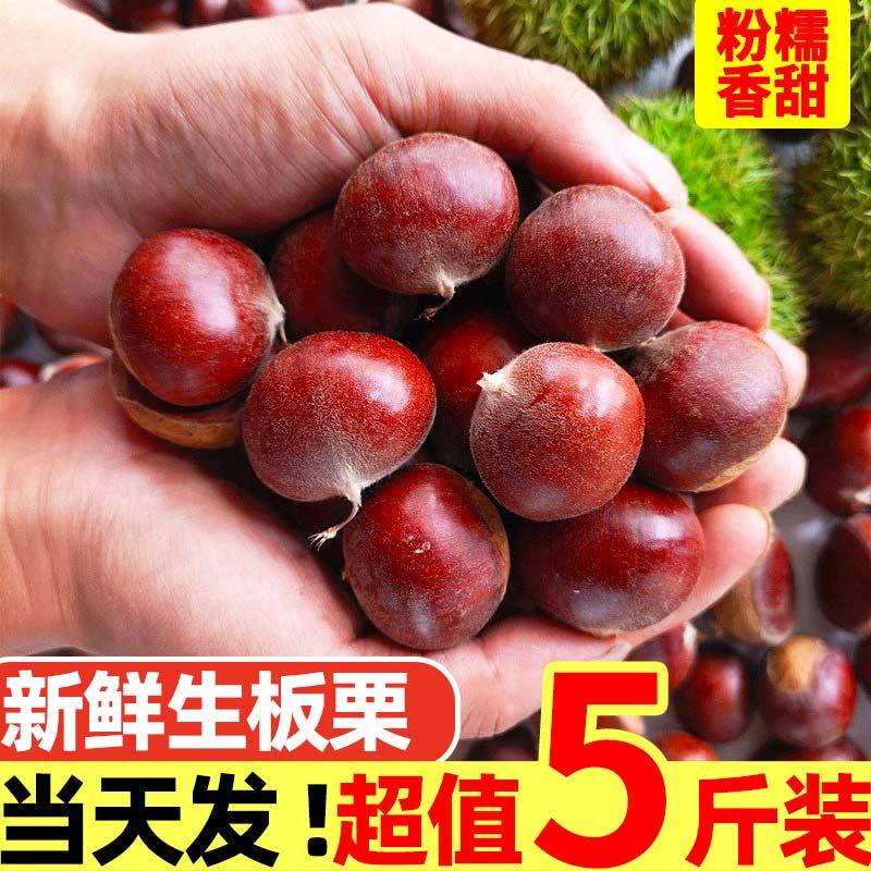 2025年新鲜板栗10斤生栗子油栗子毛栗子粟子非迁西锥栗云南板栗球,水产肉类/新鲜蔬果/熟食,新鲜板栗/板栗仁,淘宝优惠券,粉丝福利购,淘宝优惠卷