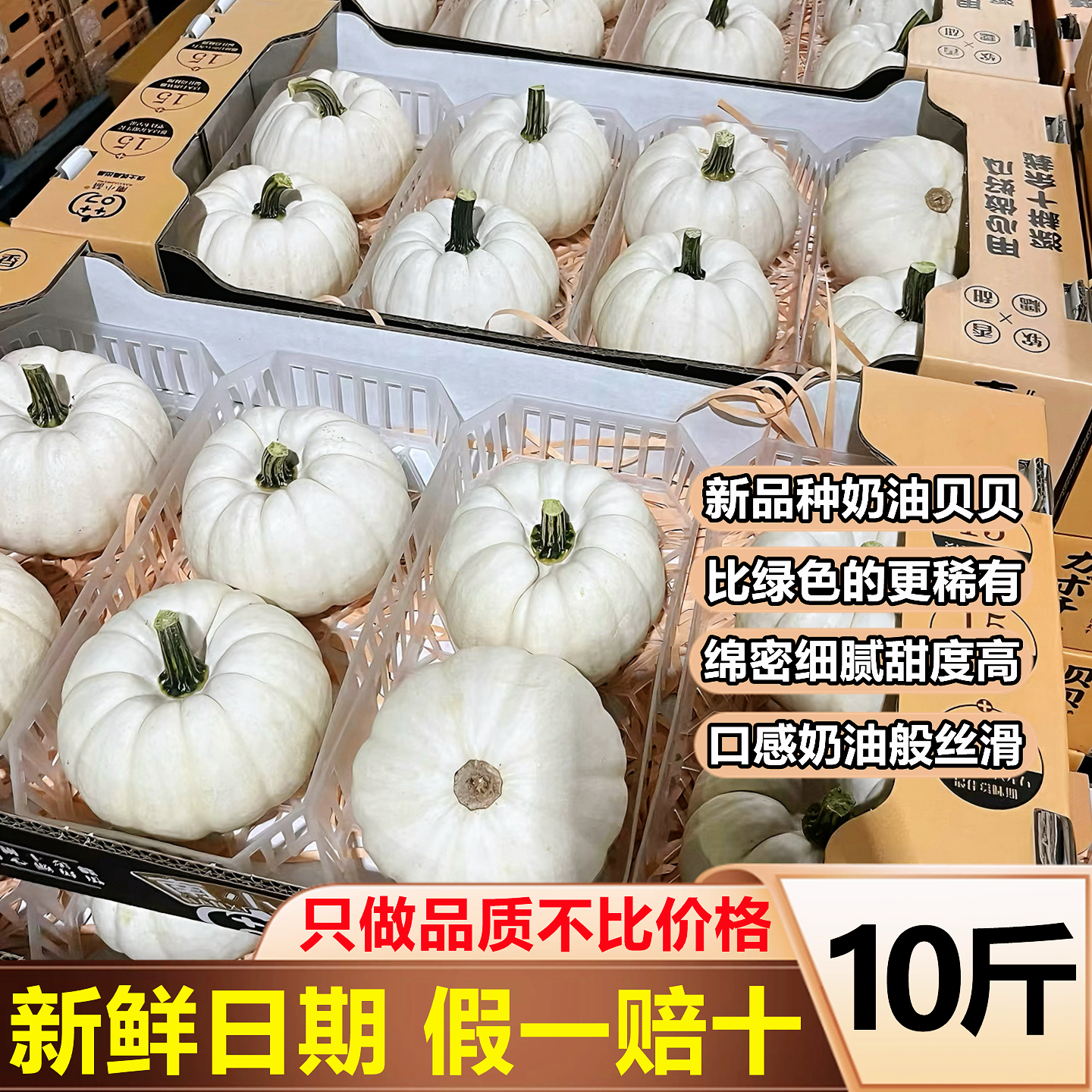 【正宗奶油贝贝南瓜】官方推荐！