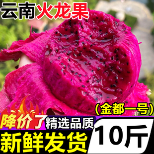 云南火龙果红心新鲜10斤整箱蜜金都一号宝红心火龙果新鲜当季水果