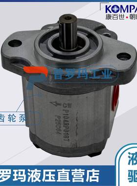 液压油泵P101RP01GTP102RP01GTP211RP01DT齿轮泵