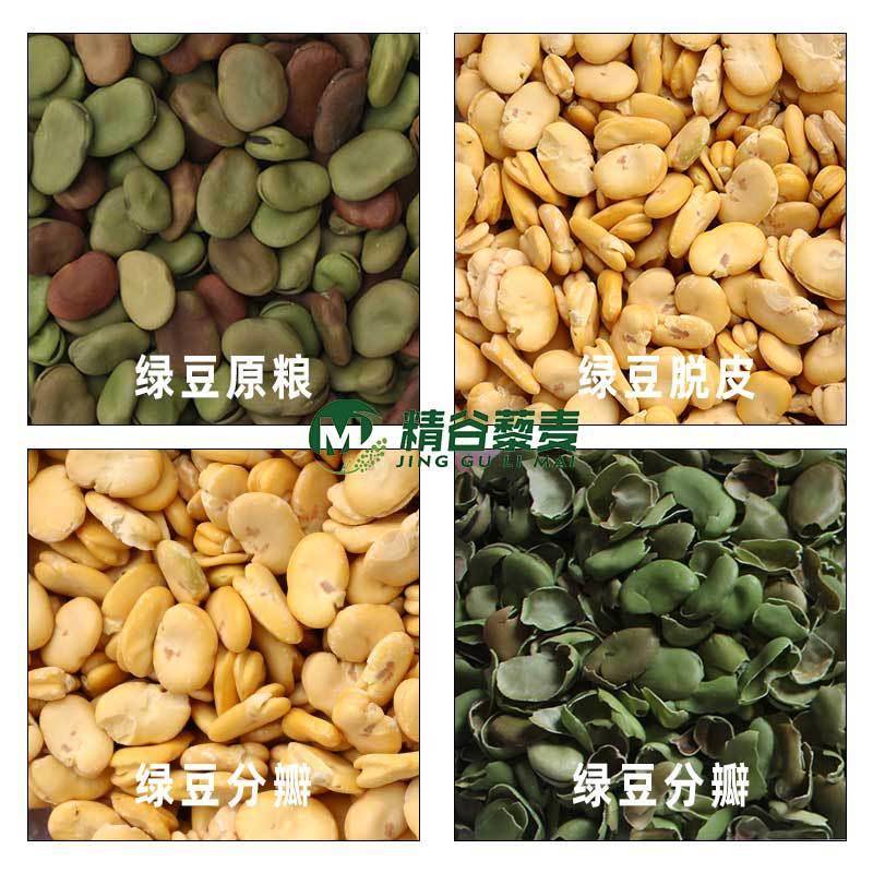 蚕豆脱皮机 荷兰豆剥壳机 兰花豆去皮脱壳设备