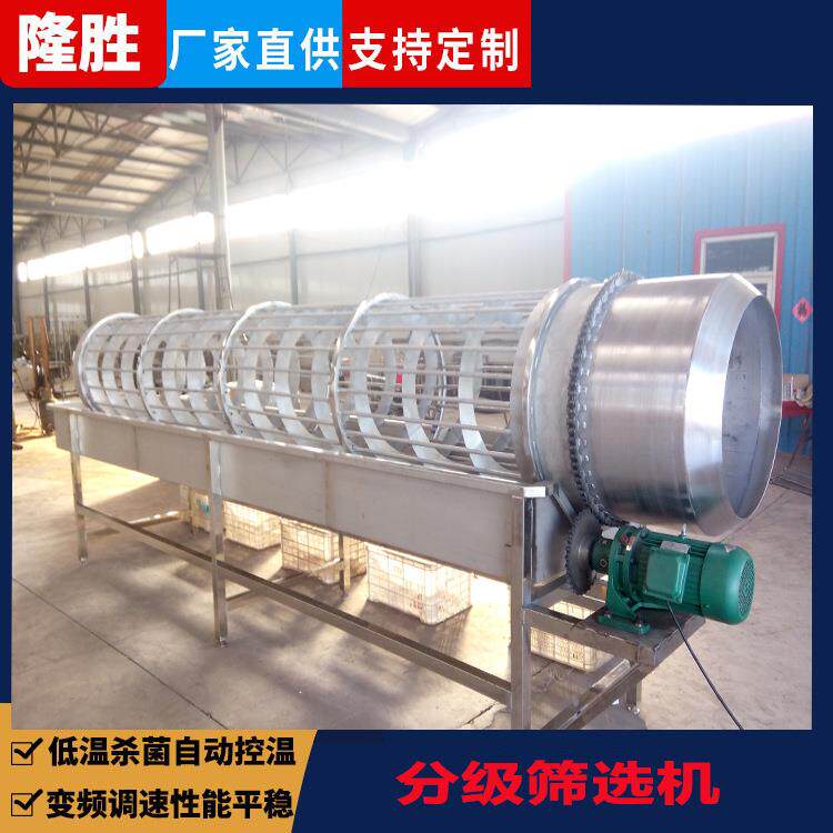 果蔬筛选设备 沿海小鱼鱼块筛选机 烤鱼加工筛选设备 肉制品筛