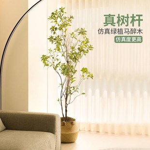饰 仿真绿植马醉木室内盆栽摆件高级轻奢吊钟假树落地仿生植物装