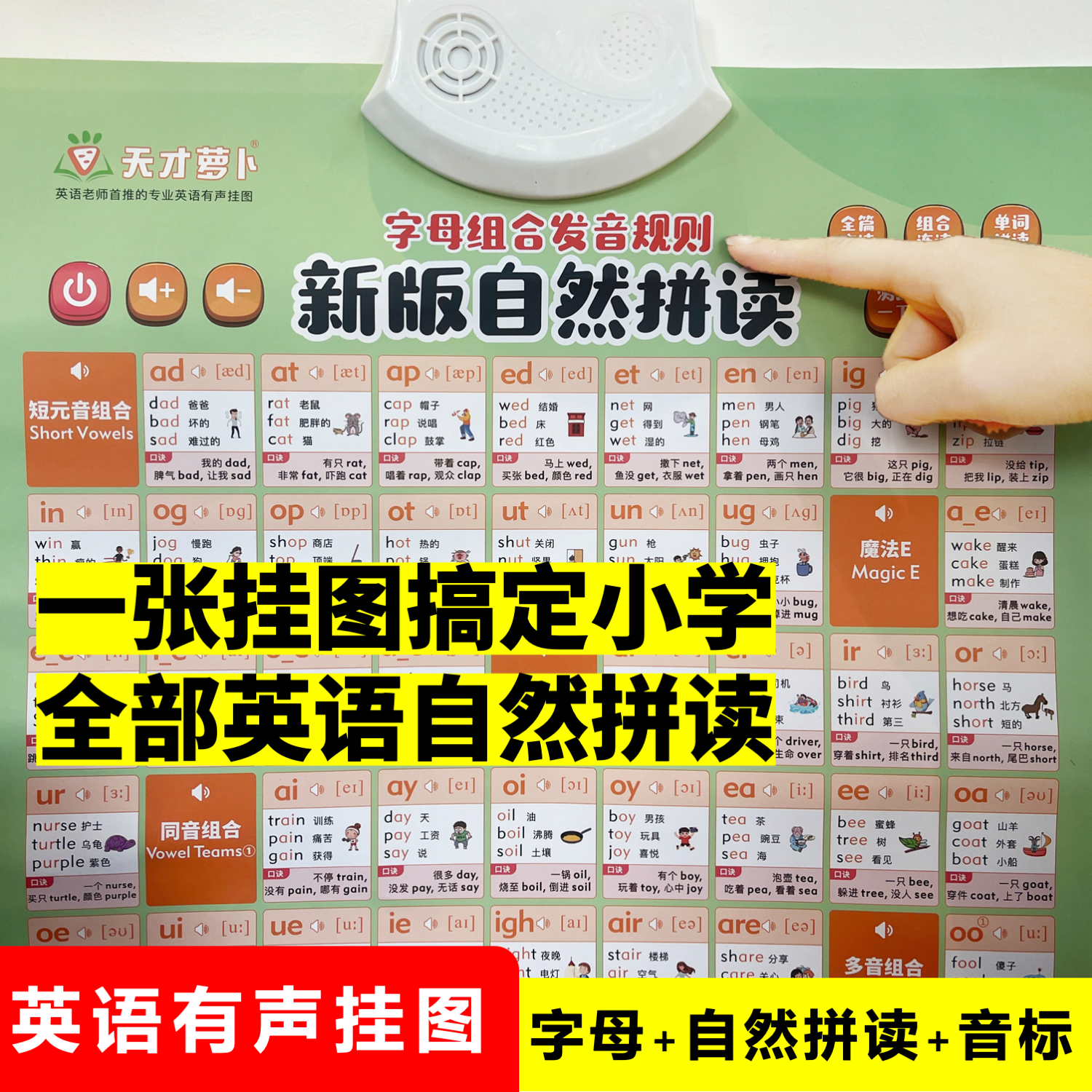 小学英语自然拼读挂图有声点读