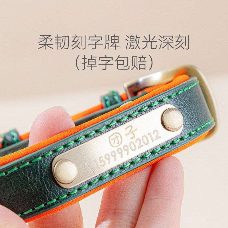 刻字狗狗项圈牵引泰迪宠物博美雪纳瑞小型犬项链脖圈锁扣狗牌定制