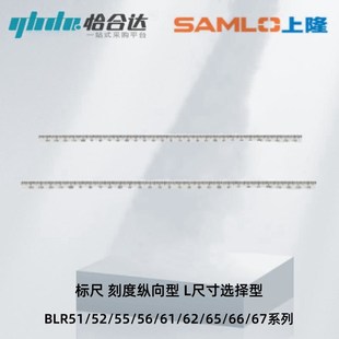 L100 刻度纵向型 300 怡合达标尺BLR51