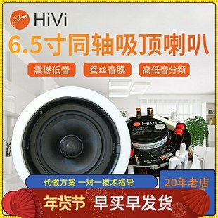 Hivi C同轴吸顶喇叭5 VR6 8寸立体声定阻吊顶天花喇叭音响 惠威